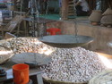 Betel nuts in market