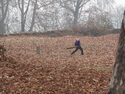 Boy playing cricket in fall leaves