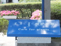 Care for plants