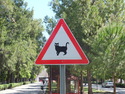 Cat sign
