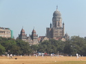 Cricket and mumbai building