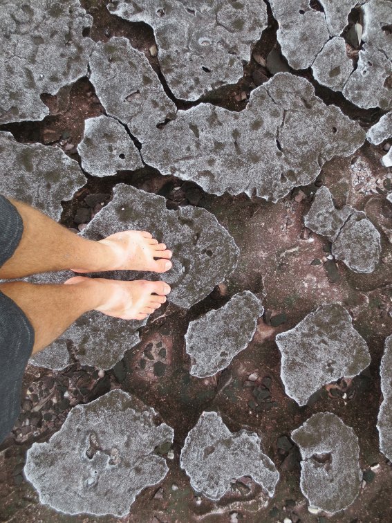 My feet on some rocks at Bako National Park