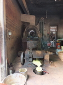 Food processing in pingle
