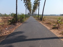Goa country road