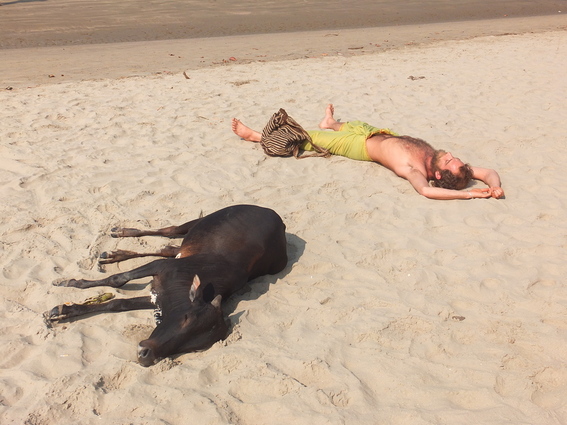 Only on a beach in India