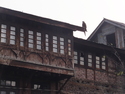 Hawk perched on old srinagar building