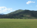 Horses on mongolian countryside