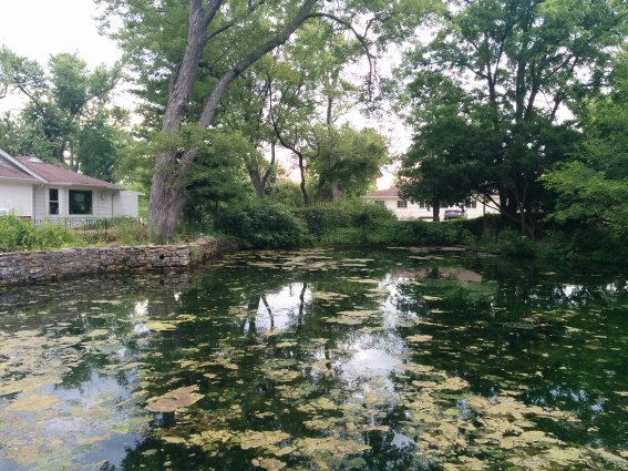 Part of the Illinois Vipassana Center