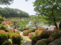 Japanese garden in fukuoka