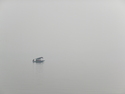 Lone boatman in the haze