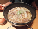 Massive bowl of udon