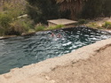 Me and omer swimming in a spring in the desert