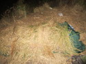 This is my den made of tall grass and my rain poncho that kept me warm enough to survive on Mt. Rinjani.