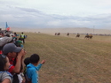 Naadam horse racing top finishers