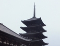 Pagoda in nara