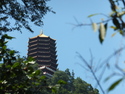 Pagoda on chengshan from afar