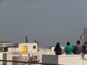 People flying kites over ahmedabad
