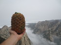 Pineapple of destiny at huashan