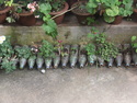 Plastic bottle planters