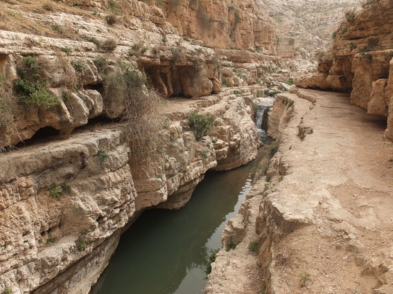 River from the Wadi Qelt trek