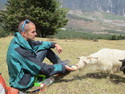 Rob feeding goats on haba
