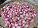 Small purple onions