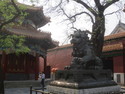 Statue at lama temple