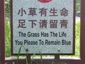 The grass has the life you please to remain blue