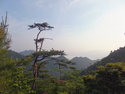 View from the stop of mount misen